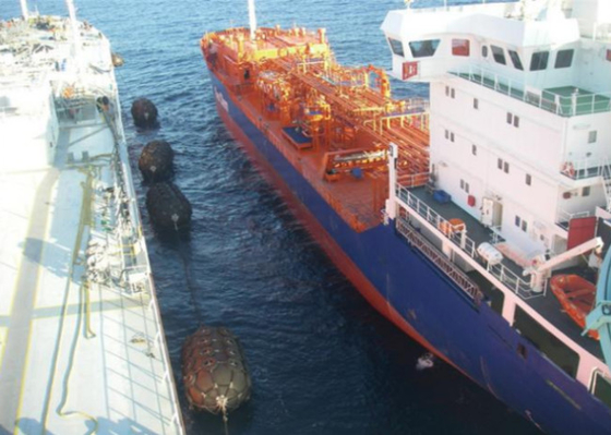 La defensa de goma neumática anti ISO9001 de nylon de Collission Yokohama certificó
